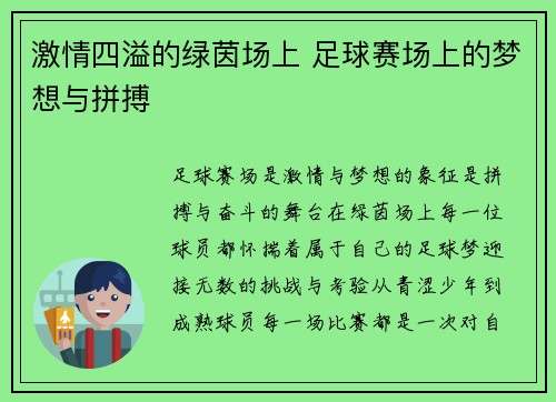 激情四溢的绿茵场上 足球赛场上的梦想与拼搏