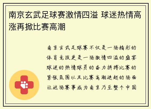 南京玄武足球赛激情四溢 球迷热情高涨再掀比赛高潮