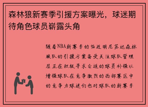 森林狼新赛季引援方案曝光，球迷期待角色球员崭露头角
