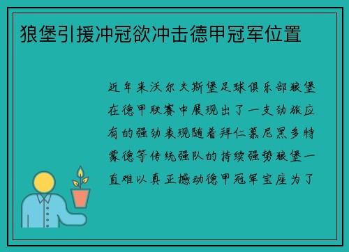 狼堡引援冲冠欲冲击德甲冠军位置