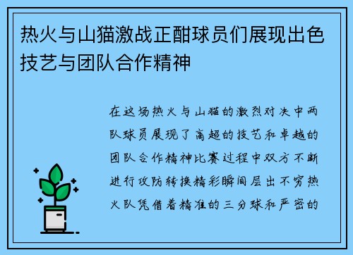 热火与山猫激战正酣球员们展现出色技艺与团队合作精神
