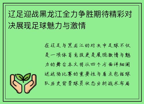 辽足迎战黑龙江全力争胜期待精彩对决展现足球魅力与激情