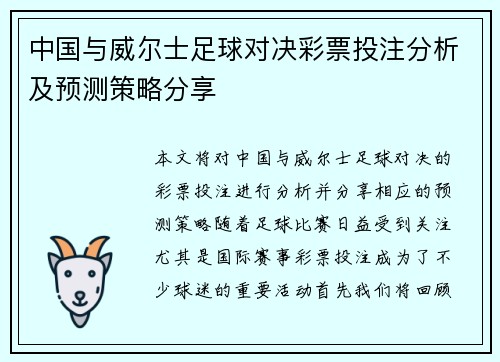 中国与威尔士足球对决彩票投注分析及预测策略分享
