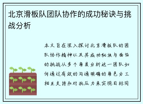北京滑板队团队协作的成功秘诀与挑战分析